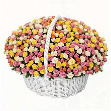 Премиум букет из: Розы в Плотниково