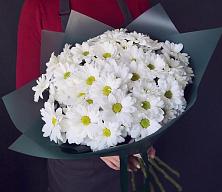 Букет цветов из:  Хризантемы #REPLACE_PRED# Плотниково