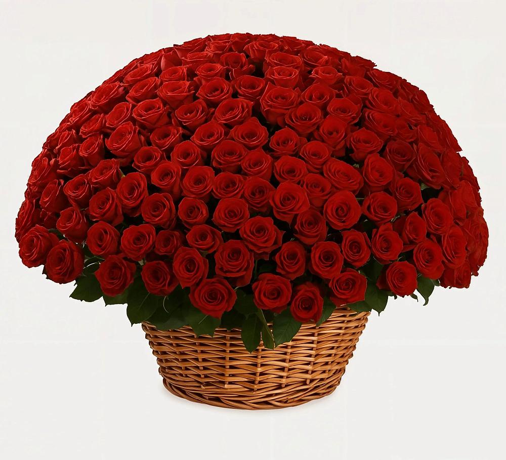 Премиум букет из: Розы в Плотниково