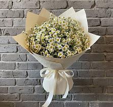 Букет цветов из:  Ромашки в Плотниково