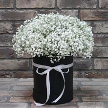 Цветочная композиция из Гипсофила в шляпной коробке в Плотниково